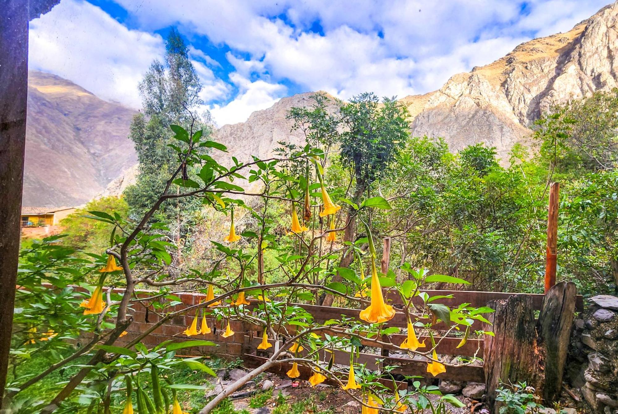 Peru Quechua's Riverside Lodge